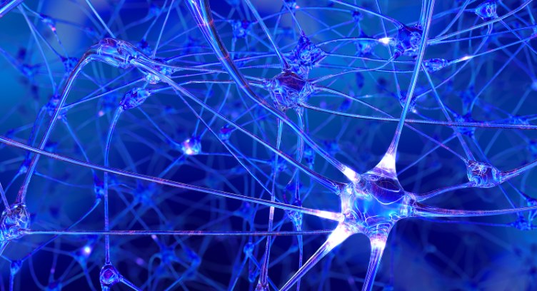 IBM and RIKEN Launch Quantum System with Supercomputer Integration